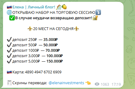 отзывы о elena investments