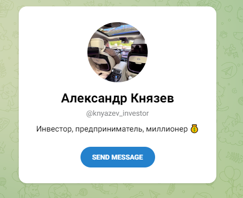 отзывы о knyazev investor